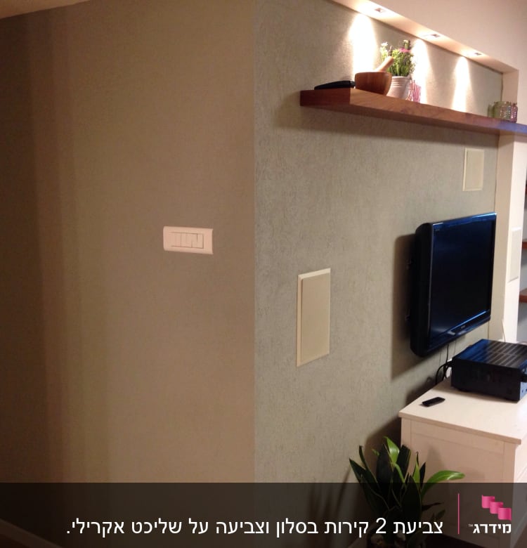 מדף עץ עם עציצים ותאורה מעל טלוויזיה תלויה